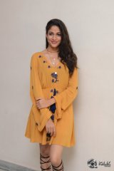 Lavanya Tripathi At Srirastu Subhamastu Movie Trailer Launch